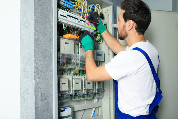 Best Affordable Electrician  in Lincoln Park, MI